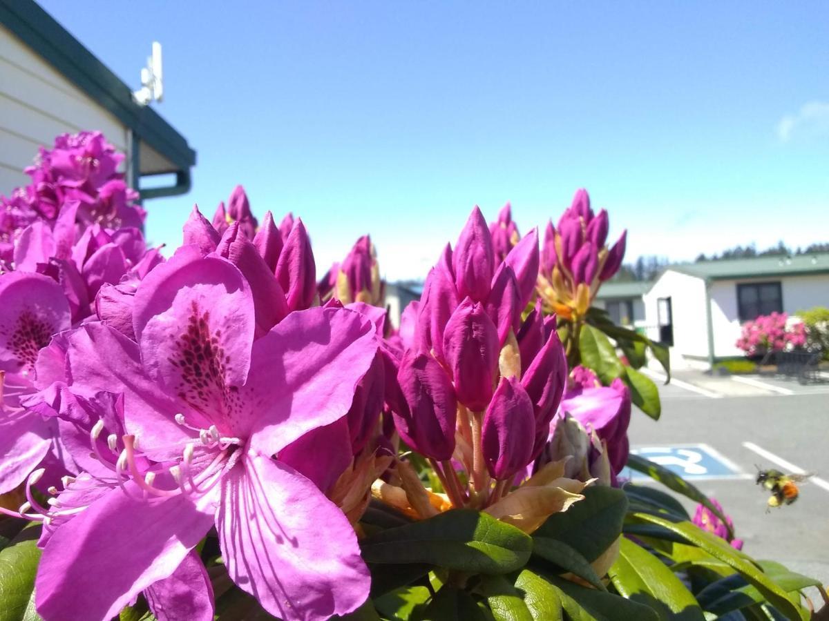 The Orca Inn Friday Harbor Bagian luar foto